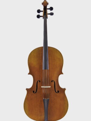 Cello after D. Montagnana "Sleeping Beauty" 1740