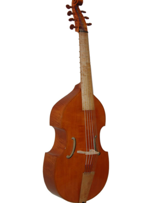 Bertrand 7 String Model