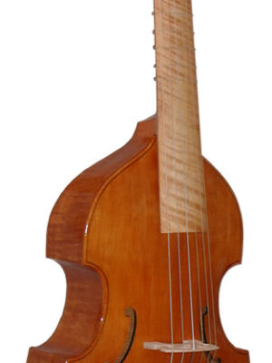 Tenor Viola da Gamba